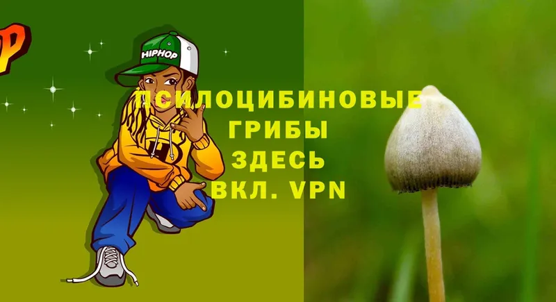 наркотики  блэк спрут сайт  Псилоцибиновые грибы Magic Shrooms  Лысково 